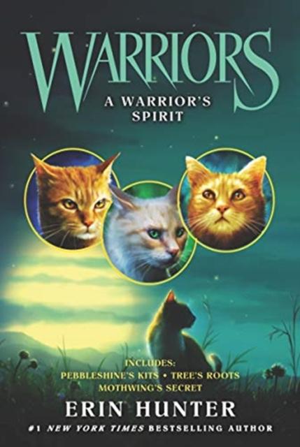 Warrior Cats by Erin Hunter: Series: A Warrior's Spirit