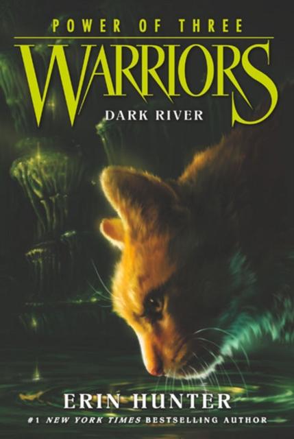 Warrior Cats by Erin Hunter: Series: Power of Three #2: Dark River